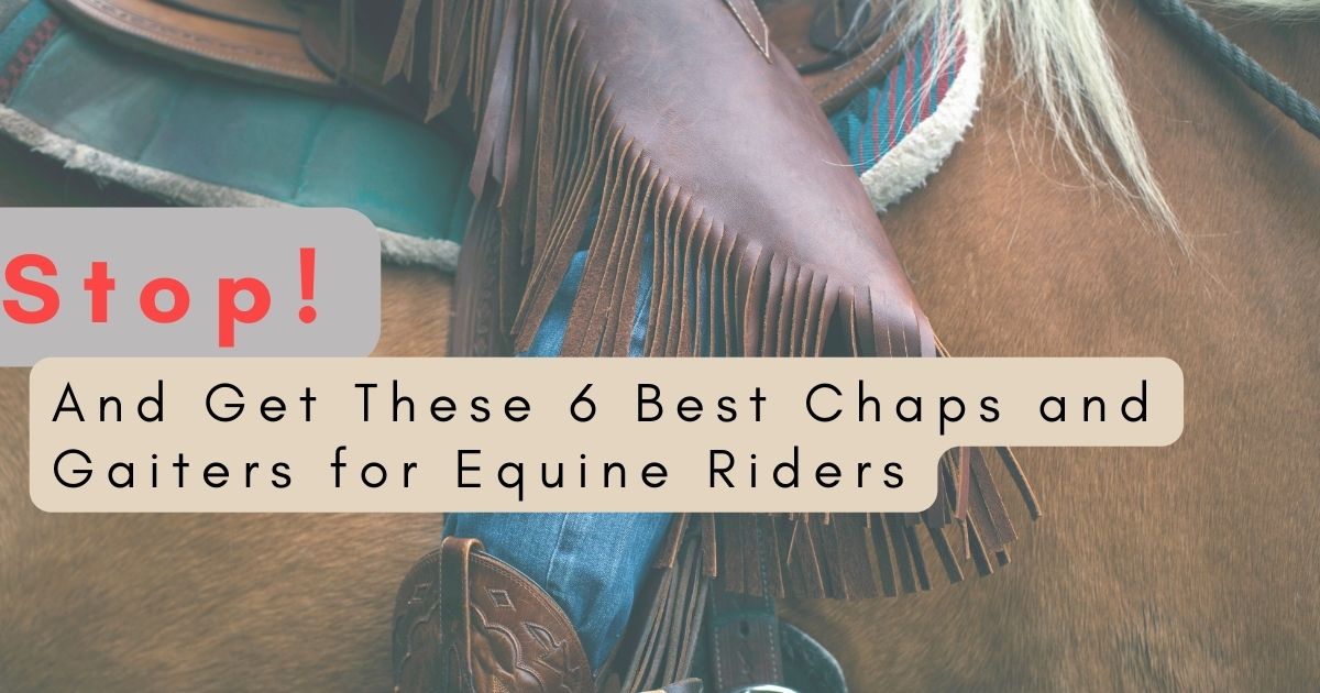 Chaps and Gaiters for Equine Riders