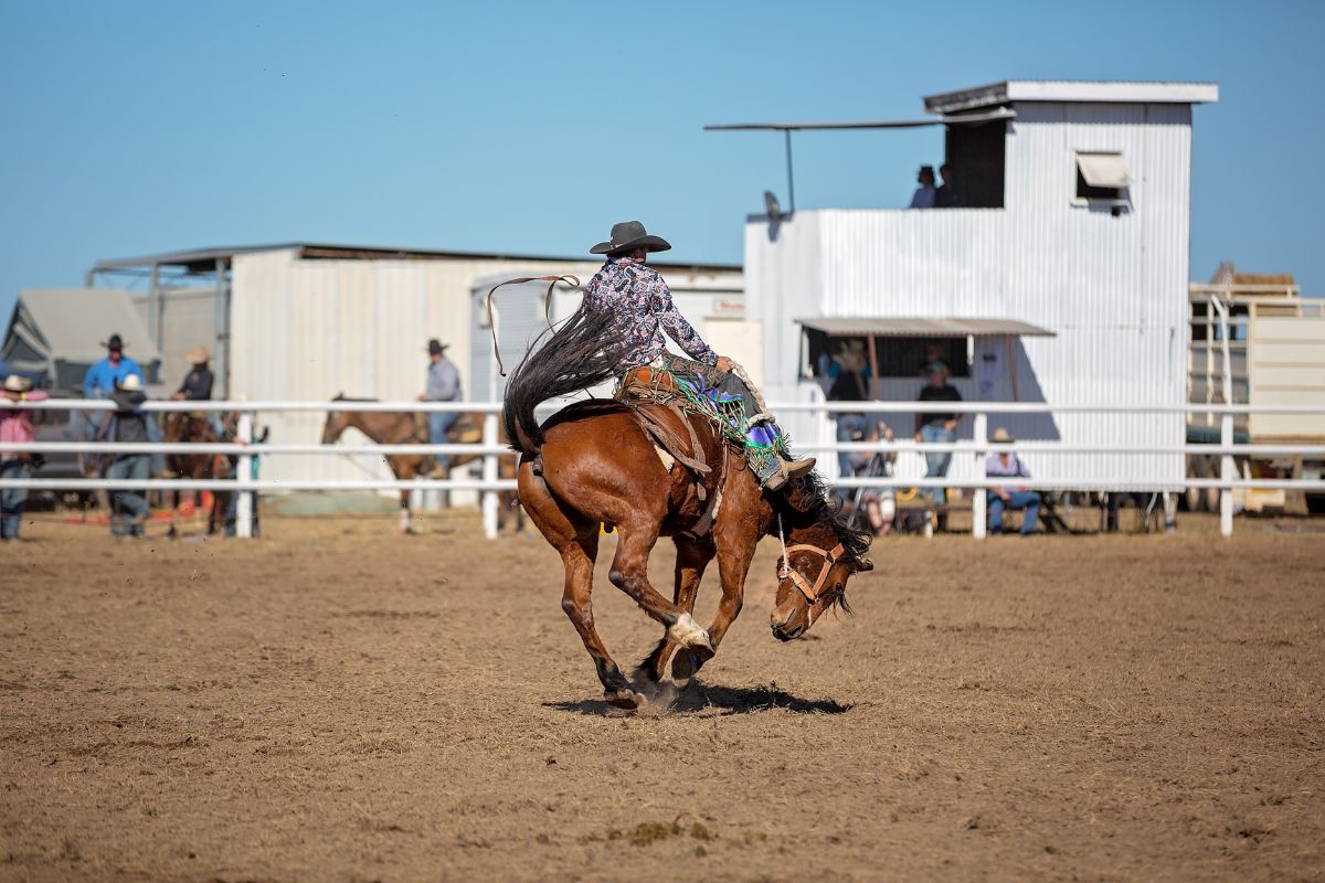 Cowboy riding a bucking horse