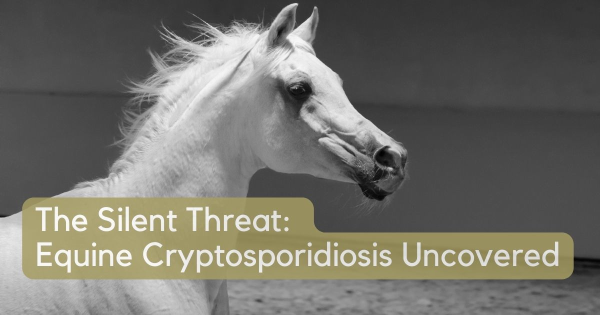 Equine Cryptosporidiosis