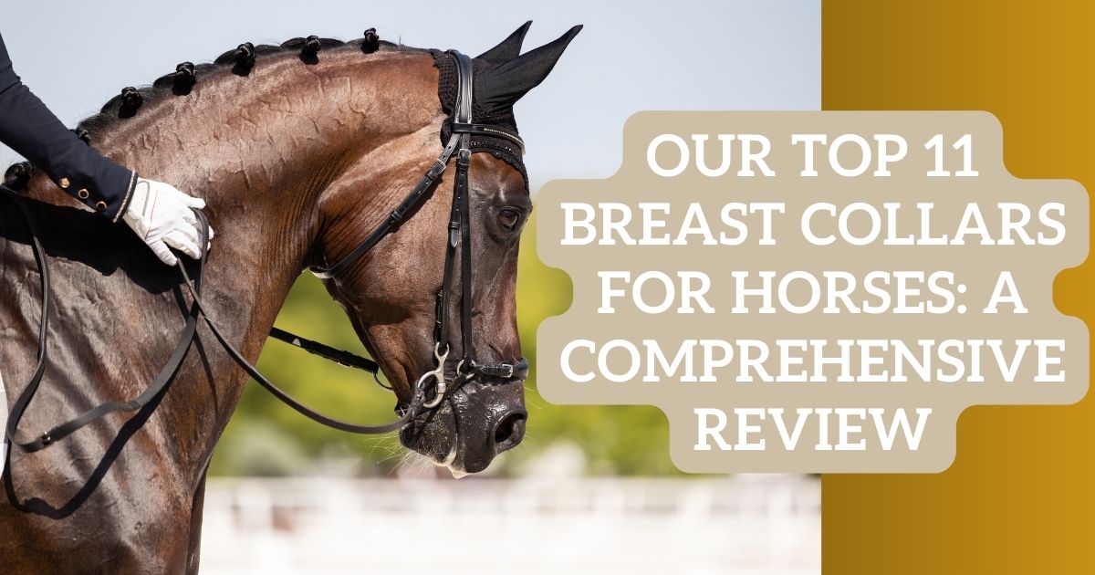 Breast Collars for Horses