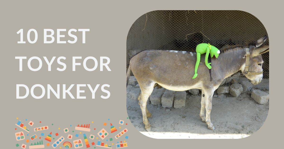 Toys for Donkeys
