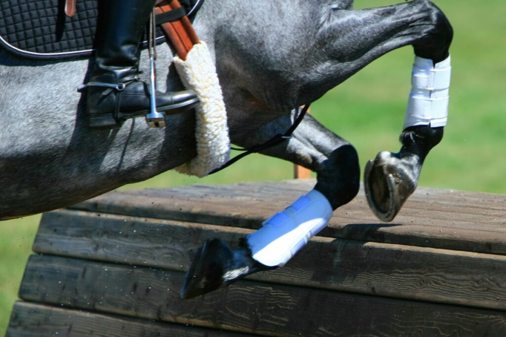 6 Best Fly Boots for Horses: Our Expert Review Guide - The Horses Guide
